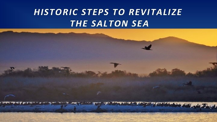 HISTORIC STEPS TO REVITALIZE THE SALTON SEA 