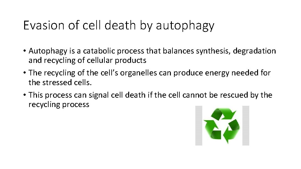 Evasion of cell death by autophagy • Autophagy is a catabolic process that balances