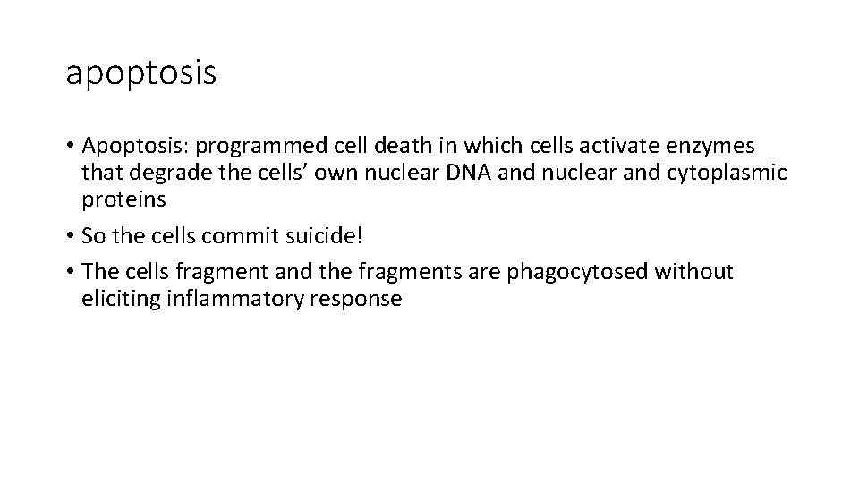 apoptosis • Apoptosis: programmed cell death in which cells activate enzymes that degrade the
