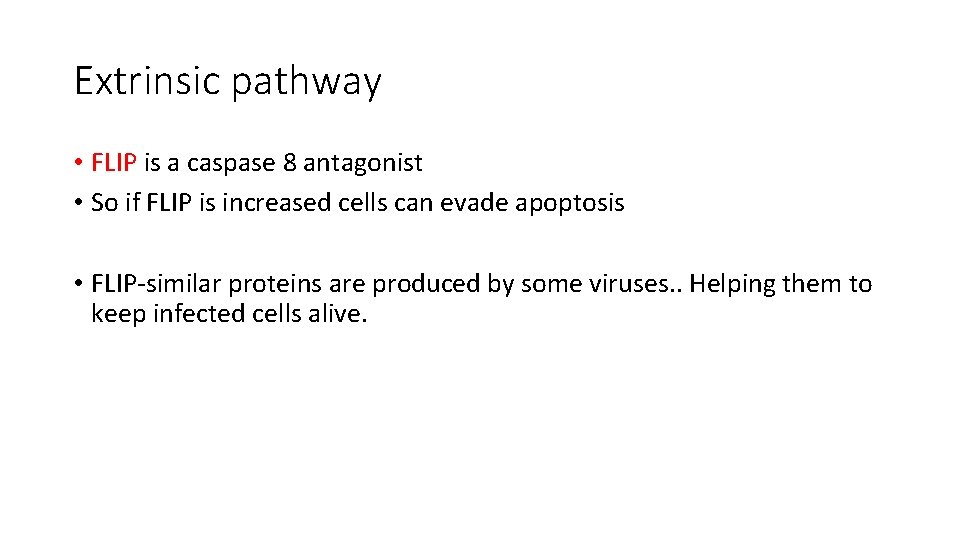 Extrinsic pathway • FLIP is a caspase 8 antagonist • So if FLIP is