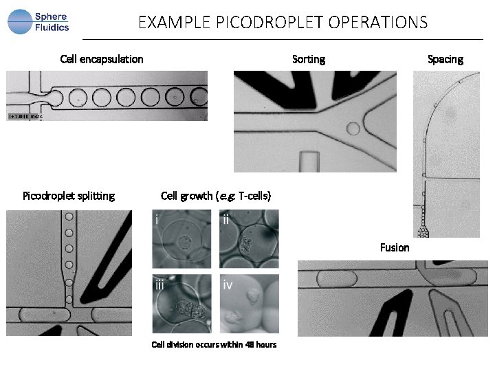 EXAMPLE PICODROPLET OPERATIONS Cell encapsulation Picodroplet splitting Sorting Spacing Cell growth (e. g. T-cells)