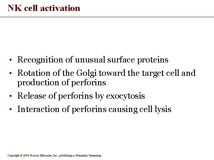 NK cell activation • Recognition of unusual surface proteins • Rotation of the Golgi NK cell activation • Recognition of unusual surface proteins • Rotation of the Golgi