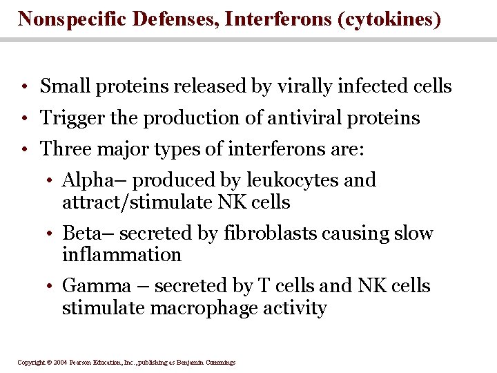 Nonspecific Defenses, Interferons (cytokines) • Small proteins released by virally infected cells • Trigger Nonspecific Defenses, Interferons (cytokines) • Small proteins released by virally infected cells • Trigger