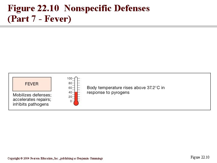 Figure 22. 10 Nonspecific Defenses (Part 7 - Fever) Copyright © 2004 Pearson Education, Figure 22. 10 Nonspecific Defenses (Part 7 - Fever) Copyright © 2004 Pearson Education,