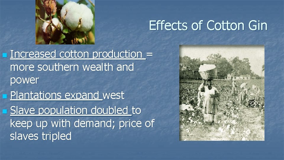 Effects of Cotton Gin Increased cotton production = more southern wealth and power n