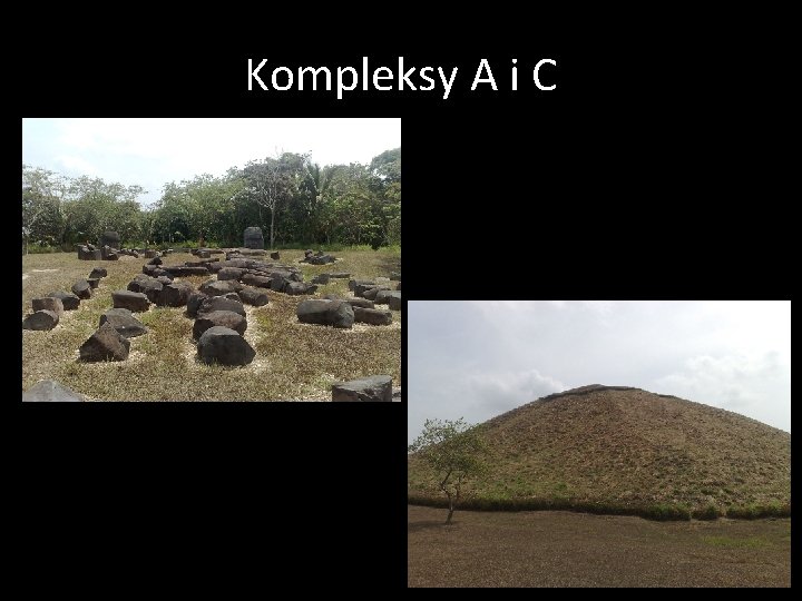 Kompleksy A i C 