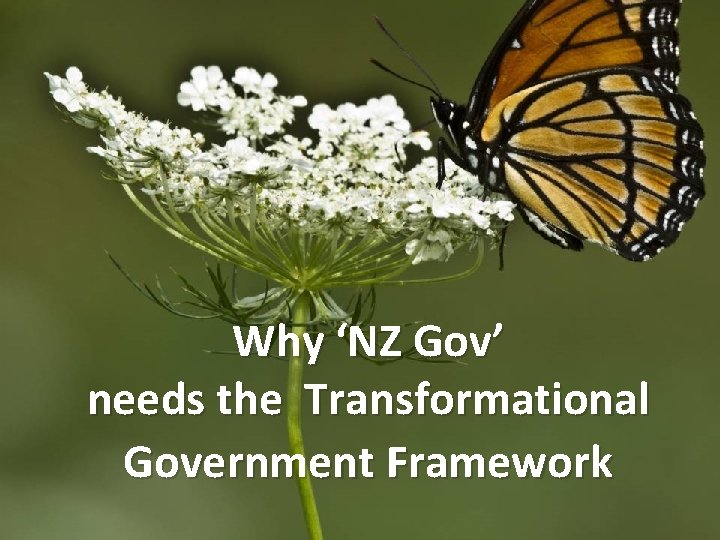 Why ‘NZ Gov’ needs the Transformational Government Framework 