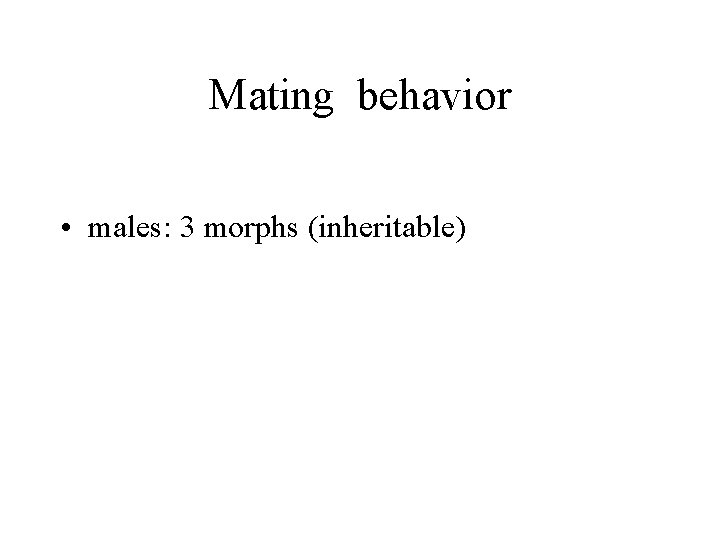 Mating behavior • males: 3 morphs (inheritable) 