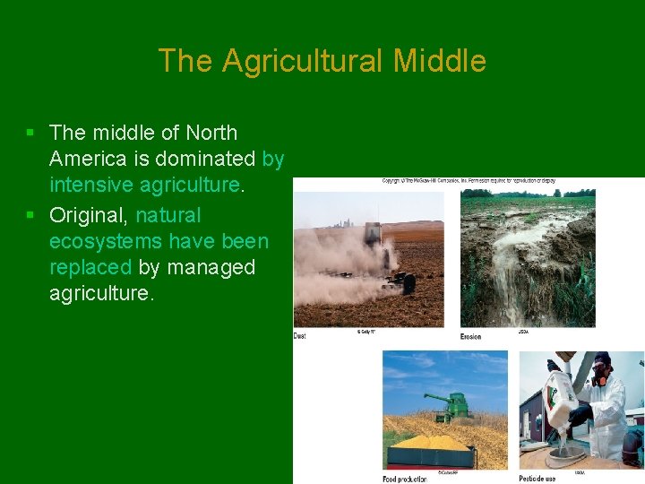 The Agricultural Middle § The middle of North America is dominated by intensive agriculture.