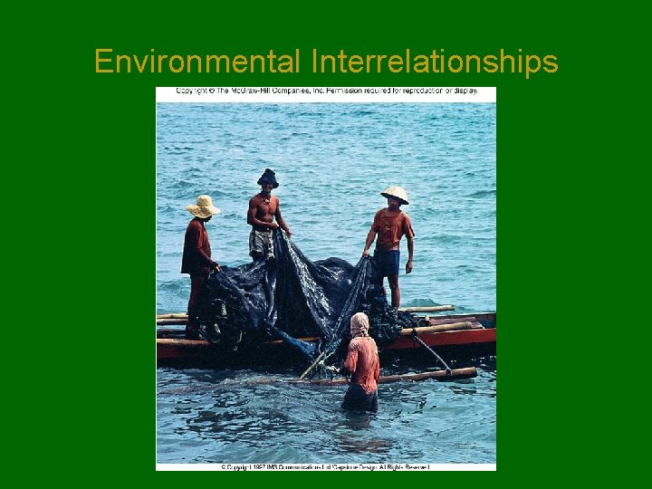 Environmental Interrelationships Environmental Interrelationships