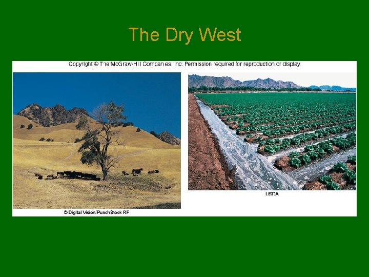 The Dry West 