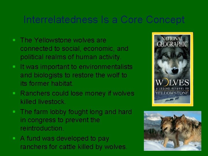 Interrelatedness Is a Core Concept § The Yellowstone wolves are connected to social, economic,