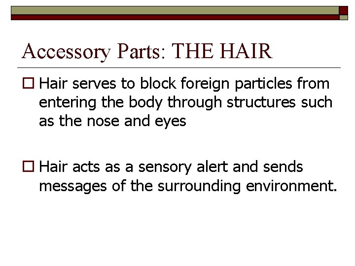 Accessory Parts: THE HAIR Hair serves to block foreign particles from entering the body