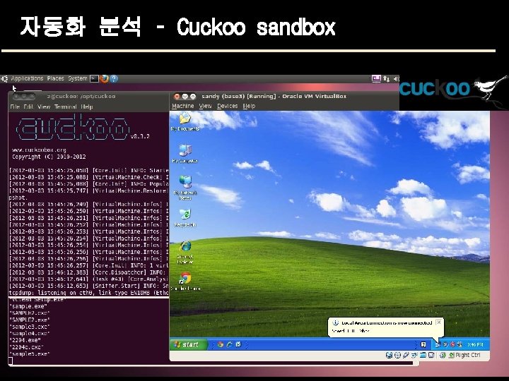 자동화 분석 – Cuckoo sandbox 