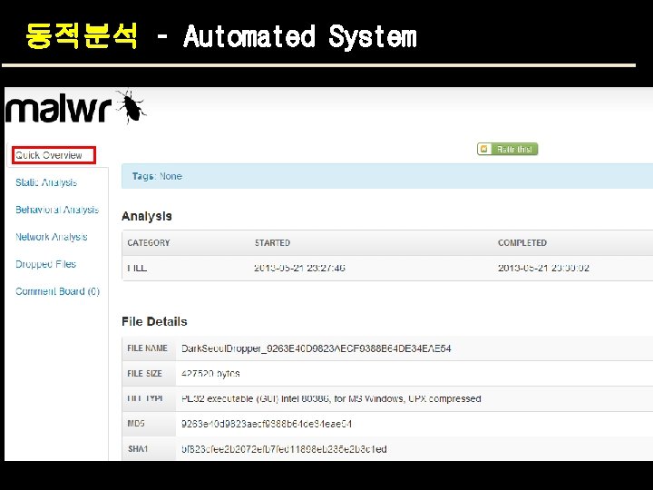 동적분석 – Automated System 