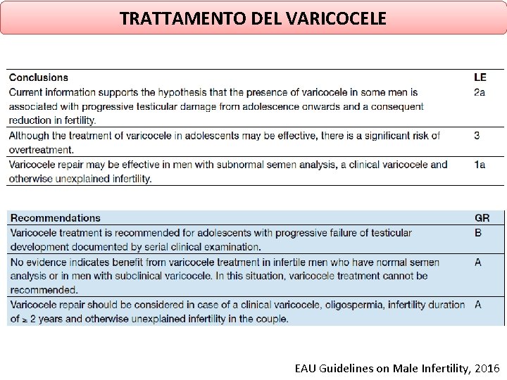TRATTAMENTO DEL VARICOCELE EAU Guidelines on Male Infertility, 2016 