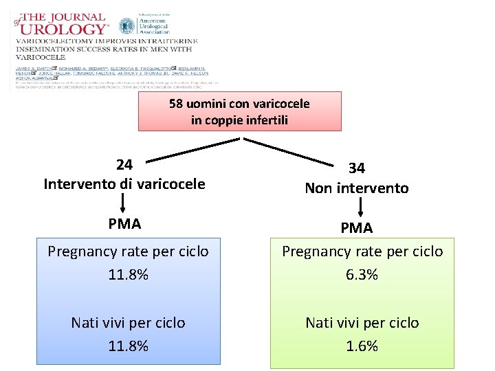 58 uomini con varicocele in coppie infertili 24 Intervento di varicocele PMA 34 Non