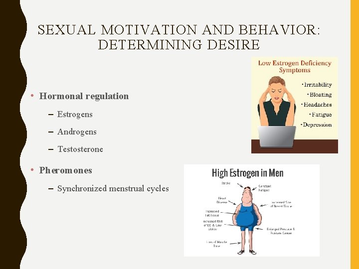 SEXUAL MOTIVATION AND BEHAVIOR: DETERMINING DESIRE • Hormonal regulation – Estrogens – Androgens –