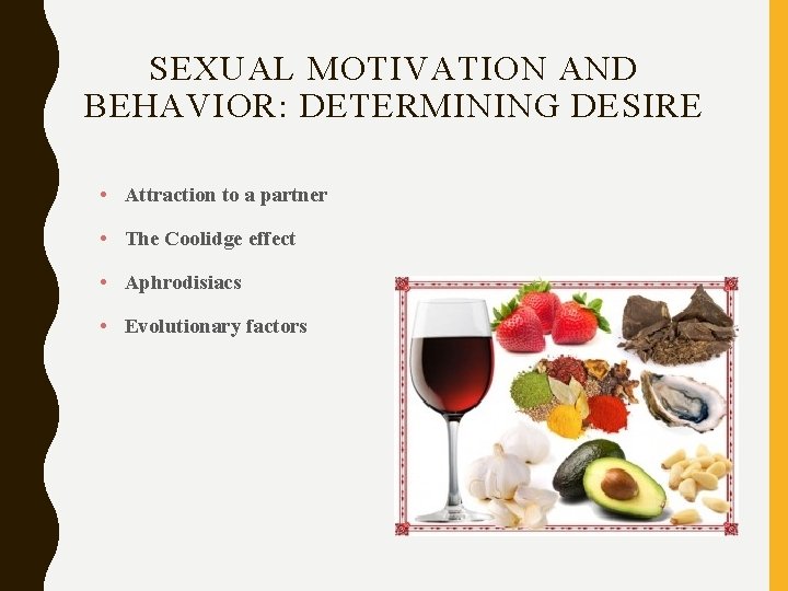 SEXUAL MOTIVATION AND BEHAVIOR: DETERMINING DESIRE • Attraction to a partner • The Coolidge