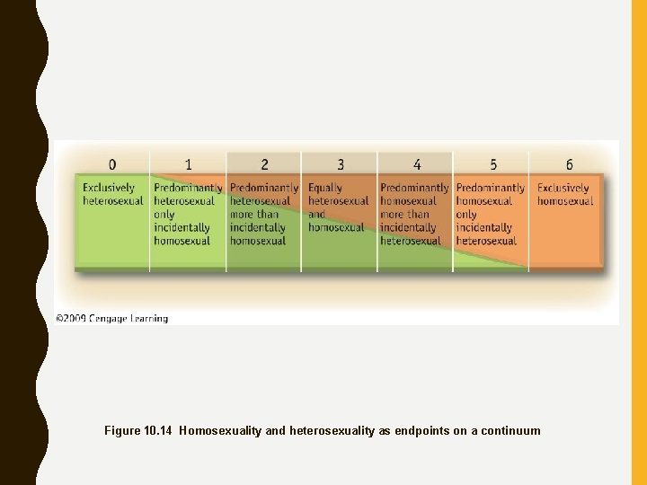 Figure 10. 14 Homosexuality and heterosexuality as endpoints on a continuum 