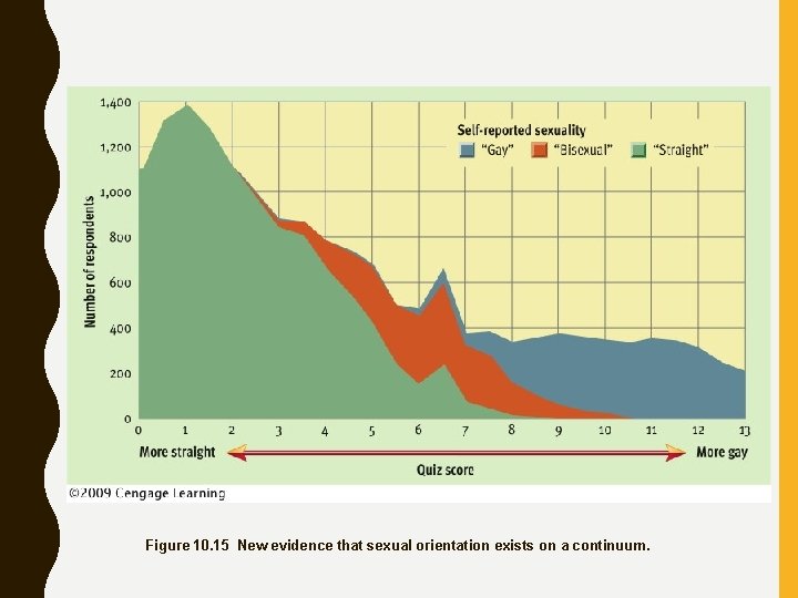Figure 10. 15 New evidence that sexual orientation exists on a continuum. 