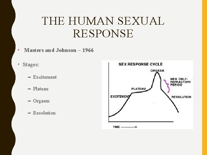 THE HUMAN SEXUAL RESPONSE • Masters and Johnson – 1966 • Stages: – Excitement