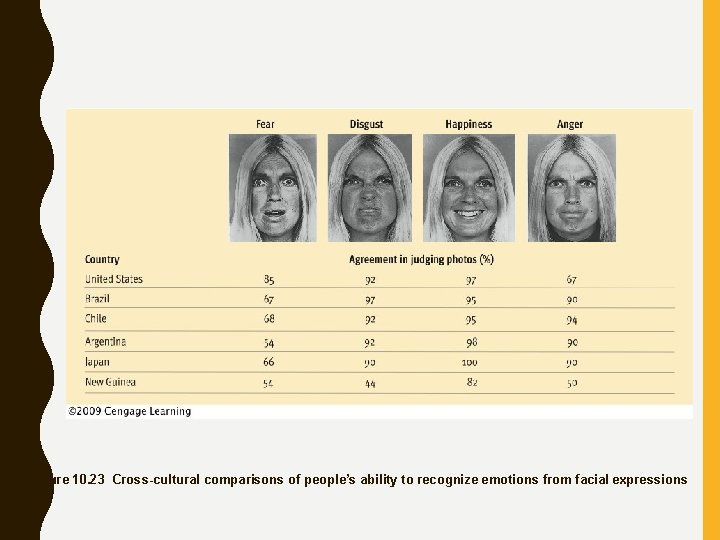 Figure 10. 23 Cross-cultural comparisons of people’s ability to recognize emotions from facial expressions