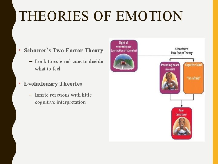 THEORIES OF EMOTION • Schacter’s Two-Factor Theory – Look to external cues to decide