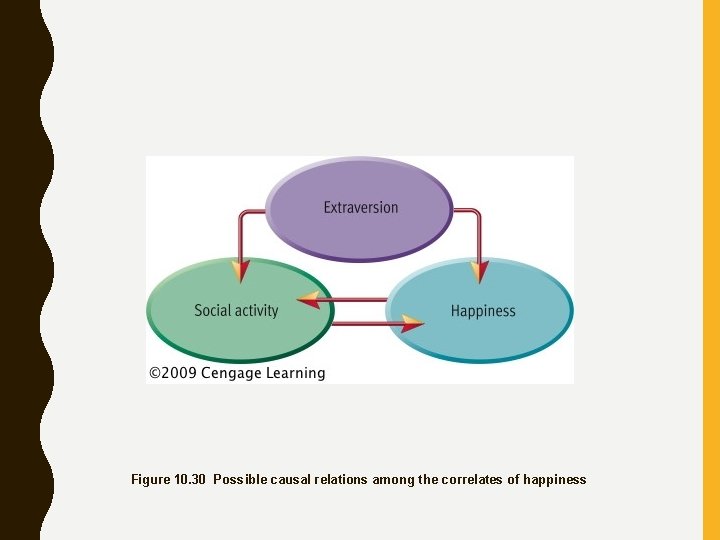 Figure 10. 30 Possible causal relations among the correlates of happiness 