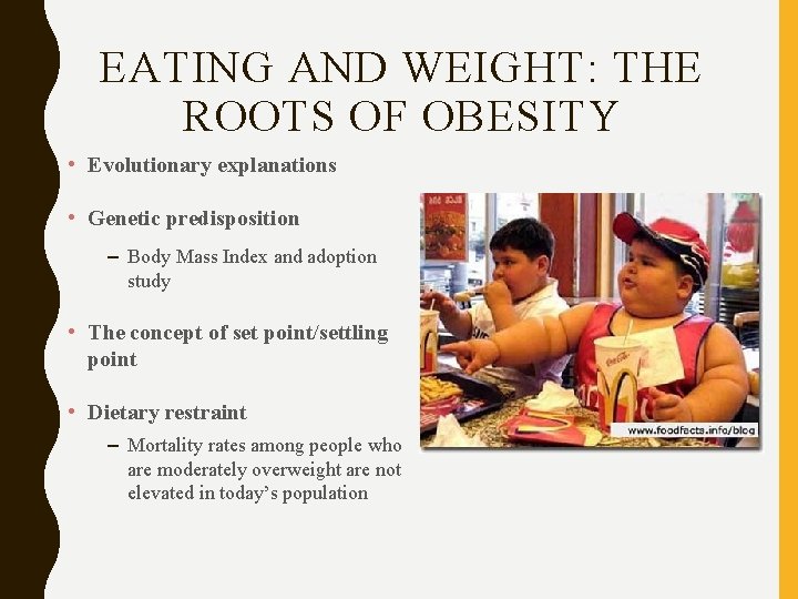 EATING AND WEIGHT: THE ROOTS OF OBESITY • Evolutionary explanations • Genetic predisposition –