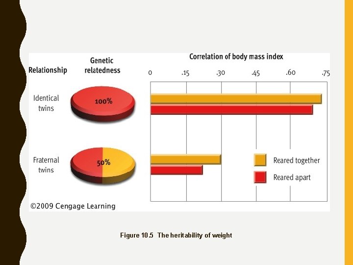 Figure 10. 5 The heritability of weight 