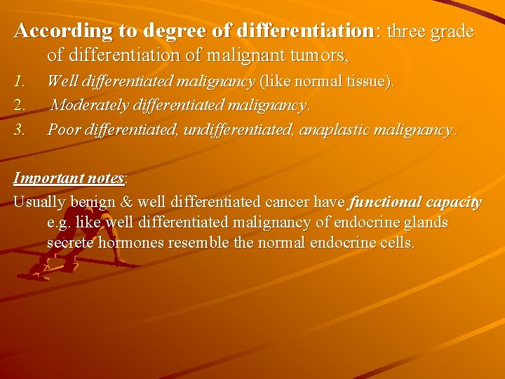 According to degree of differentiation: three grade of differentiation of malignant tumors, 1. 2.