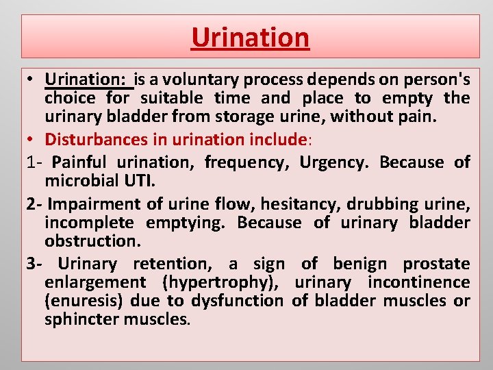 Urination • Urination: is a voluntary process depends on person's choice for suitable time