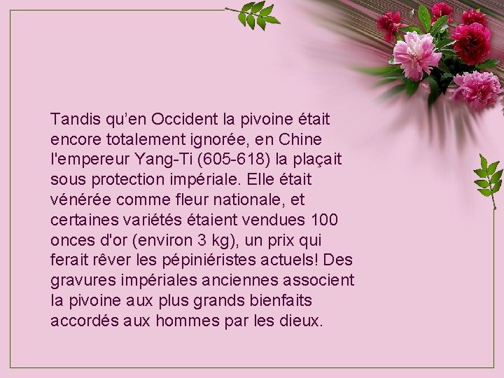 Tandis qu’en Occident la pivoine était encore totalement ignorée, en Chine l'empereur Yang-Ti (605