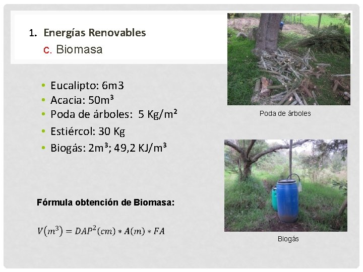 1. Energías Renovables c. Biomasa • • • Eucalipto: 6 m 3 Acacia: 50