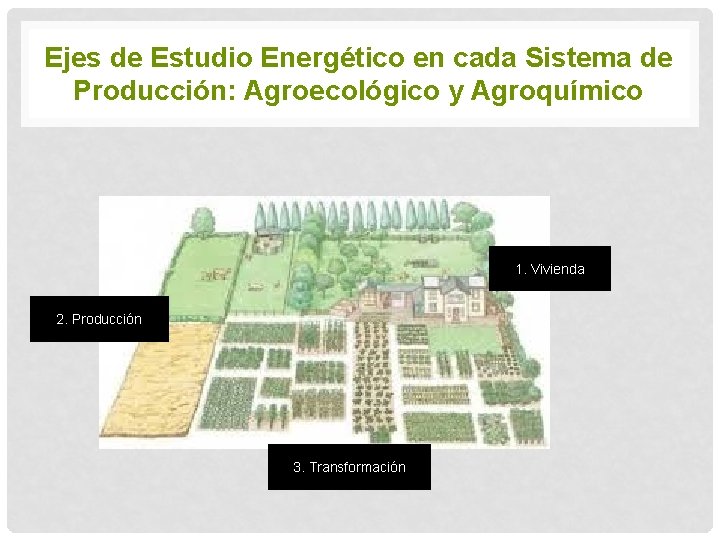 Ejes de Estudio Energético en cada Sistema de Producción: Agroecológico y Agroquímico 1. Vivienda