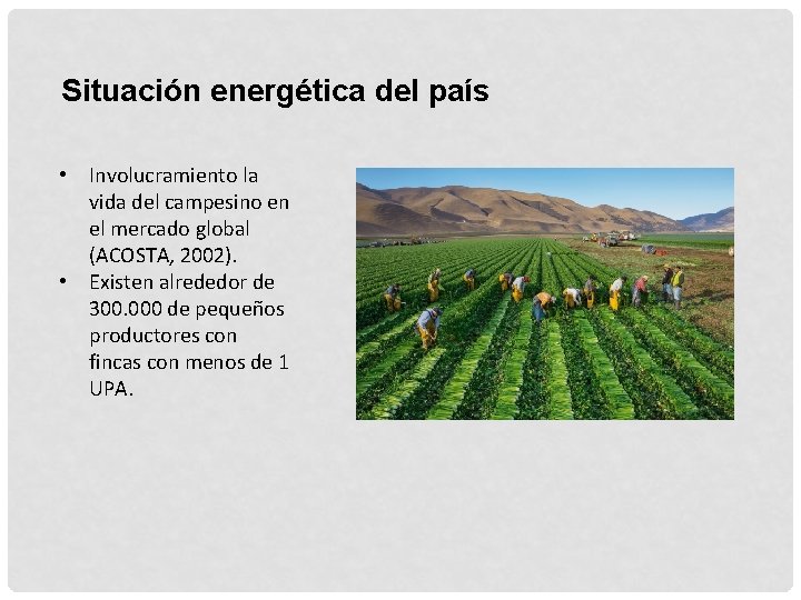 Situación energética del país • Involucramiento la vida del campesino en el mercado global