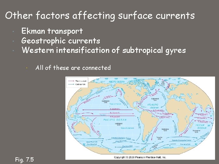 Other factors affecting surface currents Ekman transport Geostrophic currents Western intensification of subtropical gyres
