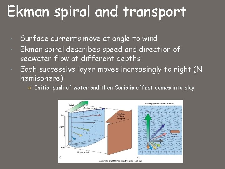 Ekman spiral and transport Surface currents move at angle to wind Ekman spiral describes