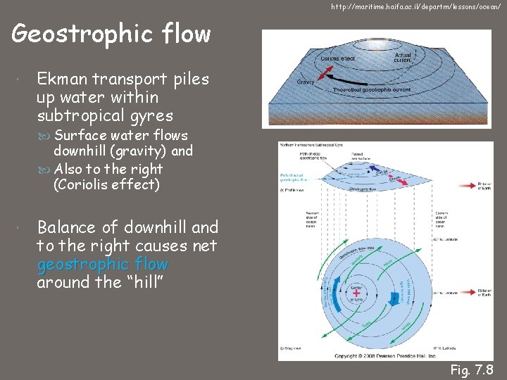 http: //maritime. haifa. ac. il/departm/lessons/ocean/ Geostrophic flow Ekman transport piles up water within subtropical