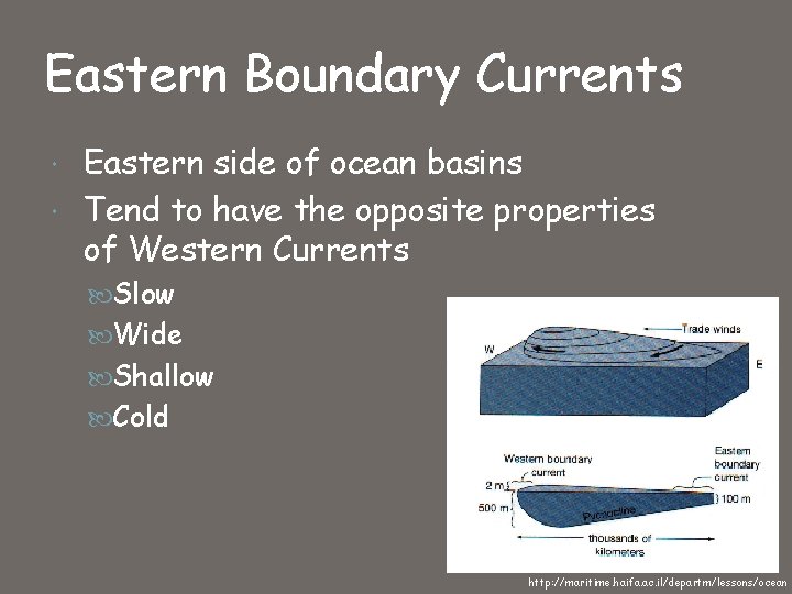 Eastern Boundary Currents Eastern side of ocean basins Tend to have the opposite properties