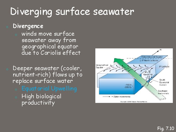 Diverging surface seawater o o Divergence o winds move surface seawater away from geographical