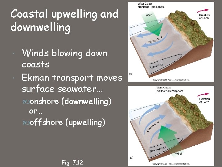 Coastal upwelling and downwelling Winds blowing down coasts Ekman transport moves surface seawater… onshore