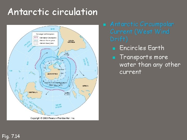 Antarctic circulation n Fig. 7. 14 Antarctic Circumpolar Current (West Wind Drift) n Encircles