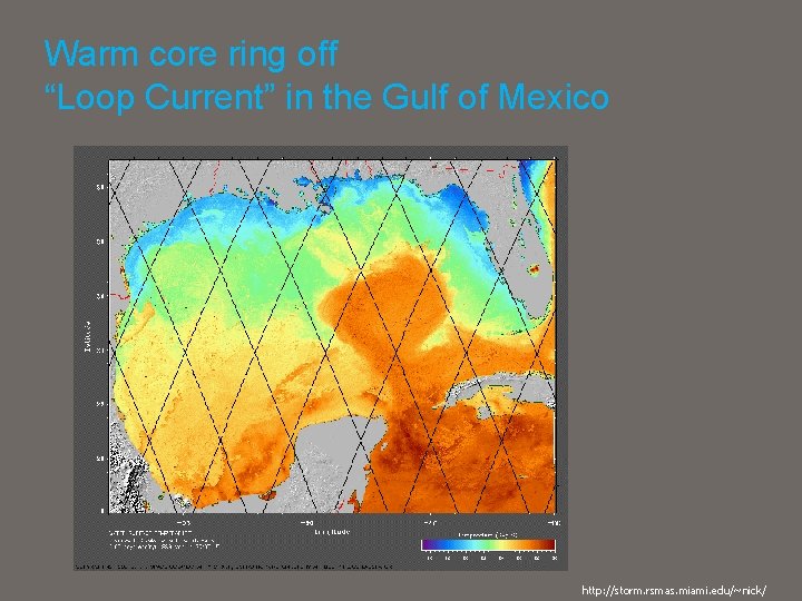 Warm core ring off “Loop Current” in the Gulf of Mexico http: //storm. rsmas.