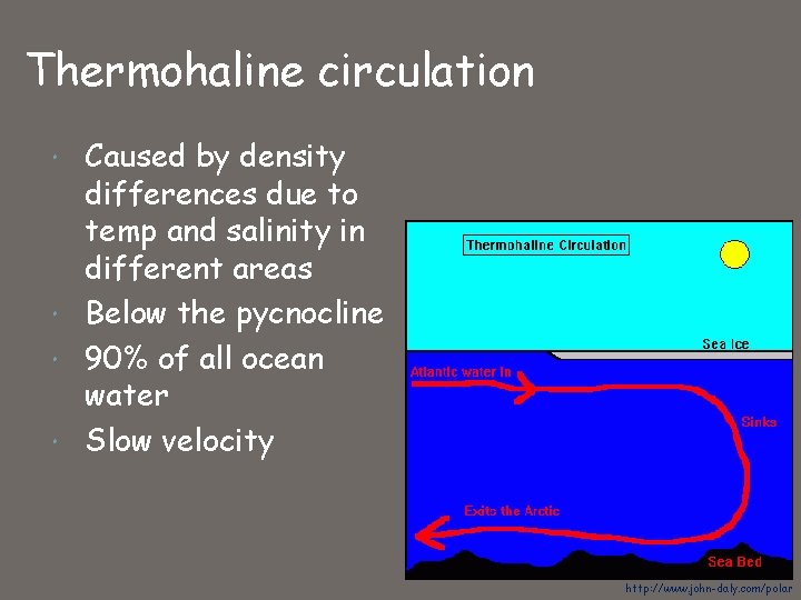 Thermohaline circulation Caused by density differences due to temp and salinity in different areas