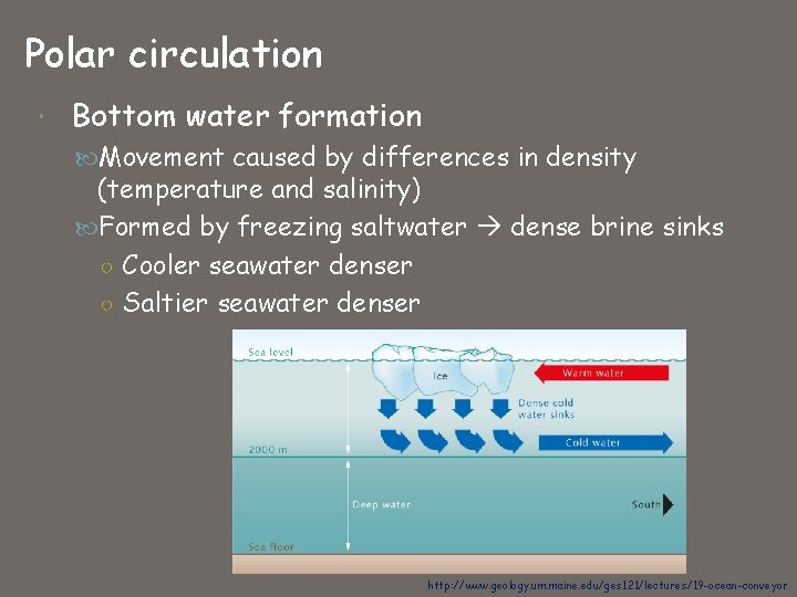 Polar circulation Bottom water formation Movement caused by differences in density (temperature and salinity)