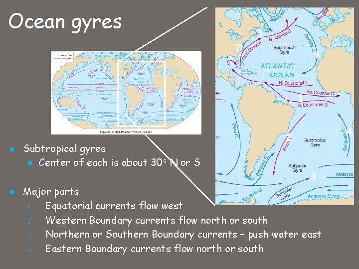 Ocean gyres 3 2 4 1 n Subtropical gyres n Center of each is