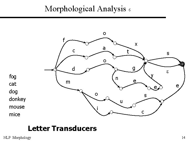Morphological Analysis 6 o f x a c t s o g d fog