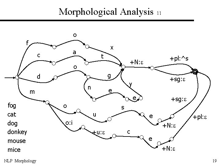 Morphological Analysis 11 o f x a c t o g d n m